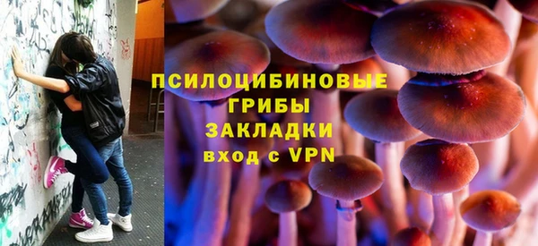 первитин Алексин
