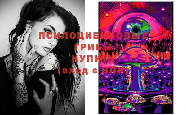 ГАЛЛЮЦИНОГЕННЫЕ ГРИБЫ Абинск